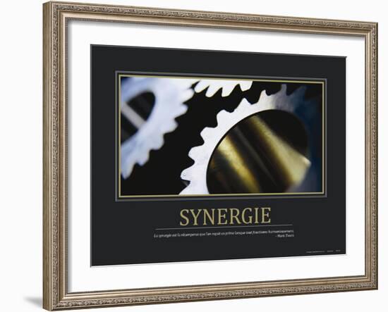 Synergie (French Translation)-null-Framed Photo