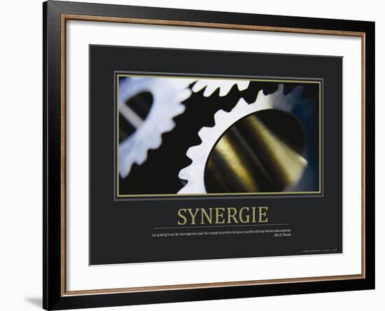 Synergie (French Translation)--Framed Photo