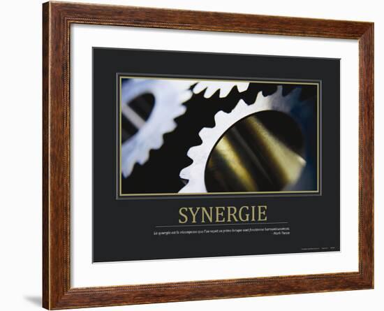 Synergie (French Translation)-null-Framed Photo