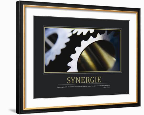 Synergie (French Translation)-null-Framed Photo