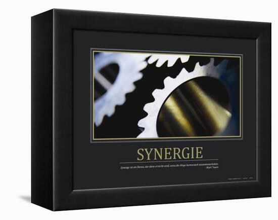 Synergie (German Translation)-null-Framed Stretched Canvas