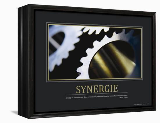 Synergie (German Translation)-null-Framed Stretched Canvas