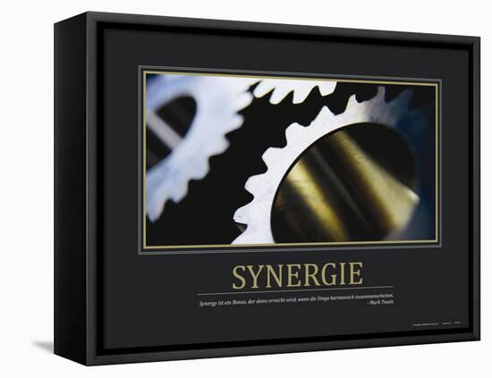 Synergie (German Translation)-null-Framed Stretched Canvas