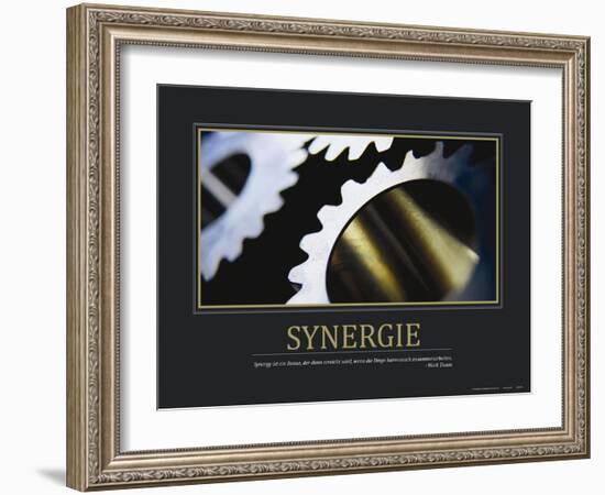 Synergie (German Translation)-null-Framed Photo