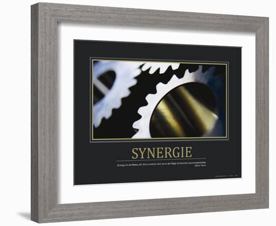 Synergie (German Translation)-null-Framed Photo