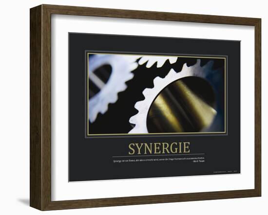 Synergie (German Translation)-null-Framed Photo