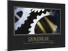 Synergie (German Translation)-null-Mounted Photo