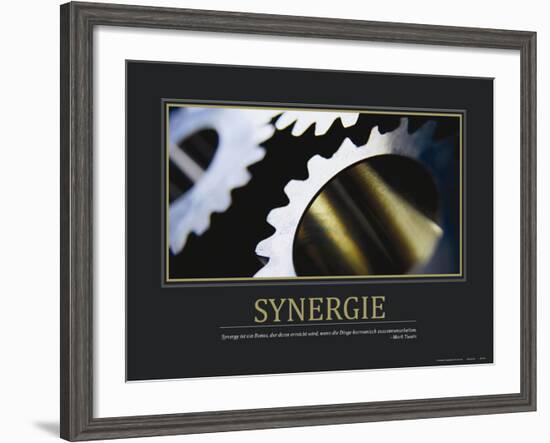 Synergie (German Translation)-null-Framed Photo