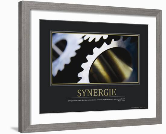 Synergie (German Translation)-null-Framed Photo