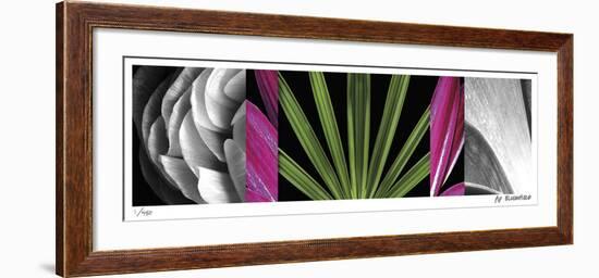 Synthesis 2-Pip Bloomfield-Framed Giclee Print