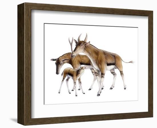Synthetoceras-null-Framed Photographic Print