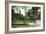 Syracuse, New York - Scenic View in Walnut Park-Lantern Press-Framed Art Print