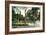 Syracuse, New York - Scenic View in Walnut Park-Lantern Press-Framed Art Print