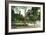 Syracuse, New York - Scenic View in Walnut Park-Lantern Press-Framed Art Print