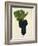 Syrah Grape-J. Troncy-Framed Giclee Print