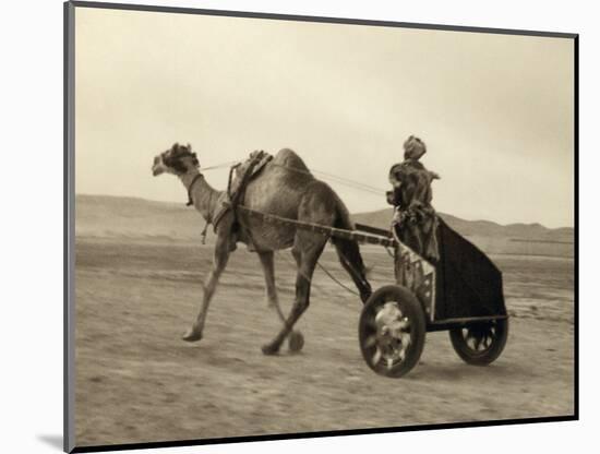 Syria: Camel Race, C1938-John D. Whiting-Mounted Photographic Print