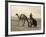 Syria: Camel Race, C1938-John D. Whiting-Framed Photographic Print