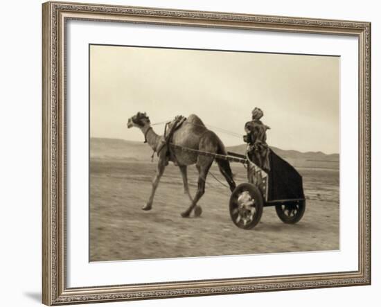 Syria: Camel Race, C1938-John D. Whiting-Framed Photographic Print