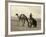 Syria: Camel Race, C1938-John D. Whiting-Framed Photographic Print