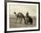 Syria: Camel Race, C1938-John D. Whiting-Framed Photographic Print