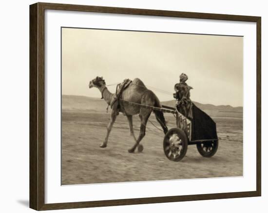 Syria: Camel Race, C1938-John D. Whiting-Framed Photographic Print