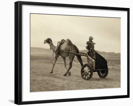 Syria: Camel Race, C1938-John D. Whiting-Framed Photographic Print