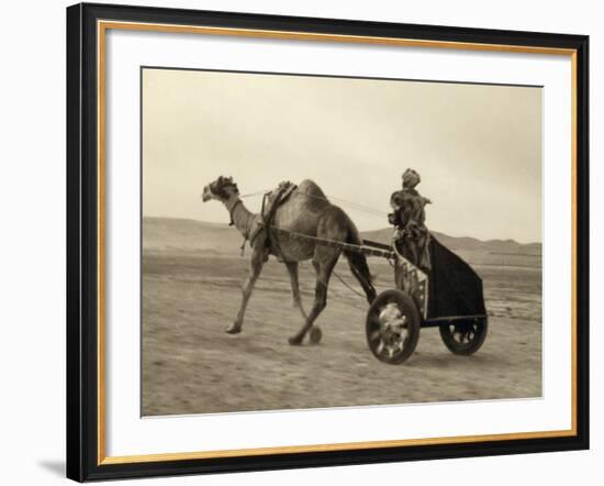 Syria: Camel Race, C1938-John D. Whiting-Framed Photographic Print