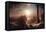 Syria on the Sea-Frederic Edwin Church-Framed Stretched Canvas
