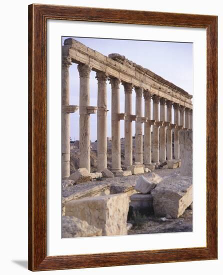 Syria, Palmyra, Colonnaded Street Near Roman Theater-null-Framed Photographic Print