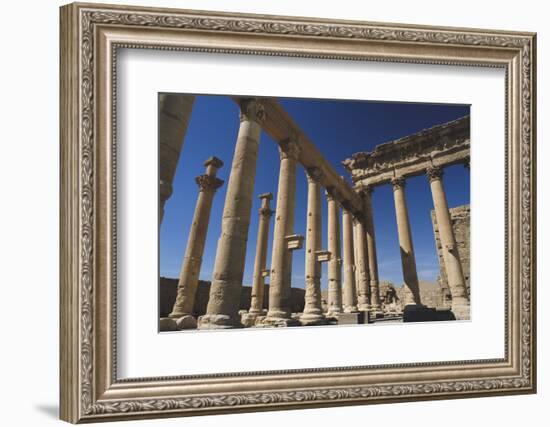 Syria, Palmyra, View of Temple of Bel-Steve Roxbury-Framed Photographic Print