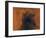 Syrtis Major Region of Mars-Stocktrek Images-Framed Photographic Print