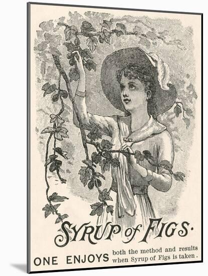 Syrup of Figs Advertisement-null-Mounted Giclee Print
