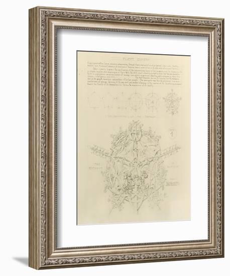 System of Architectural Ornament: Plate 4, Fluent Geometry, 1922-23-Louis Sullivan-Framed Giclee Print