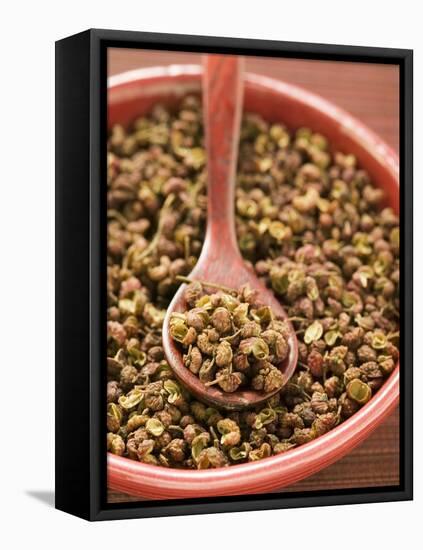 Szechuan Pepper in Bowl with Spoon-null-Framed Premier Image Canvas