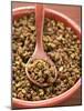 Szechuan Pepper in Bowl with Spoon-null-Mounted Photographic Print