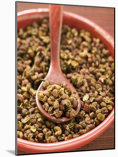 Szechuan Pepper in Bowl with Spoon-null-Mounted Photographic Print