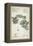 T.1598 Plan of the Port of Acapulco, Engraved by W. Lowry, from 'Plates to Alexander De…-Friedrich Alexander, Baron Von Humboldt-Framed Premier Image Canvas