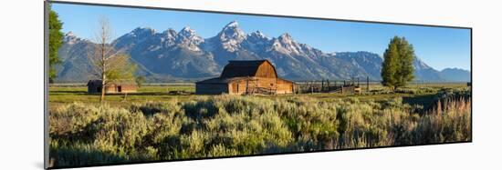 T. A. Moulton Barn in field, Mormon Row, Grand Teton National Park, Wyoming, USA-null-Mounted Photographic Print