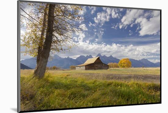 T.A. Moulton Barn, Mormon Row, Grand Teton National Park, Wyoming, USA-Maresa Pryor-Mounted Photographic Print