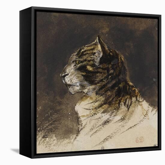 T? de chat ; vers 1824-1829-Eugene Delacroix-Framed Premier Image Canvas