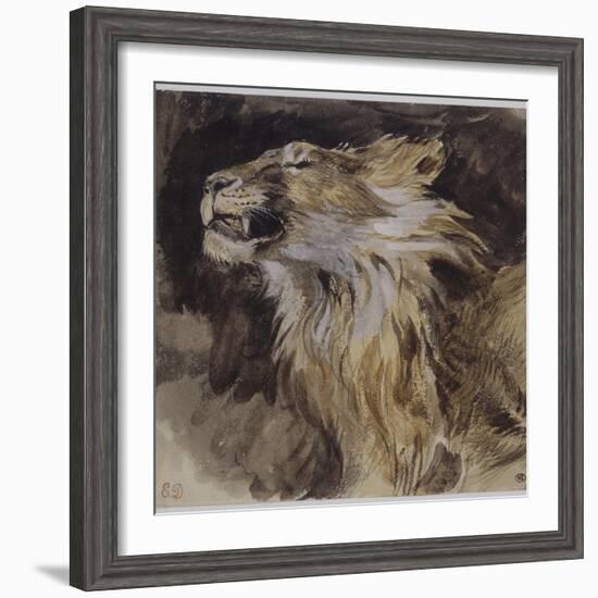 T? de lion rugissant-Eugene Delacroix-Framed Giclee Print