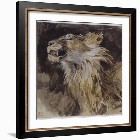 T? de lion rugissant-Eugene Delacroix-Framed Giclee Print