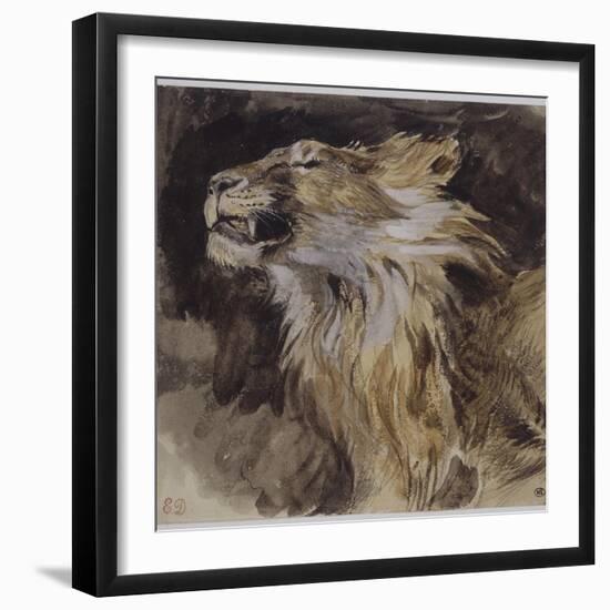 T? de lion rugissant-Eugene Delacroix-Framed Giclee Print