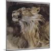 T? de lion rugissant-Eugene Delacroix-Mounted Giclee Print