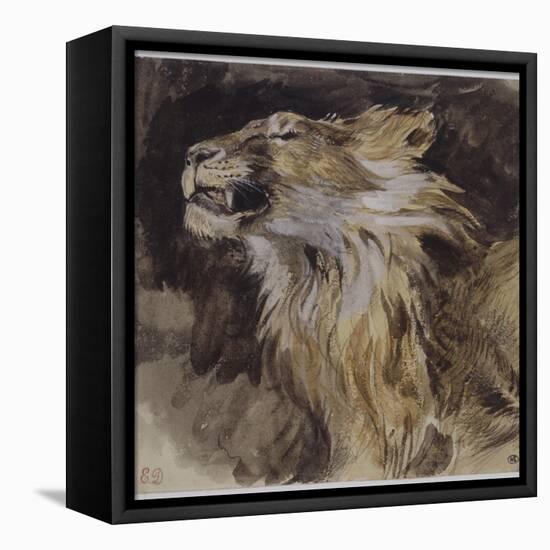 T? de lion rugissant-Eugene Delacroix-Framed Premier Image Canvas