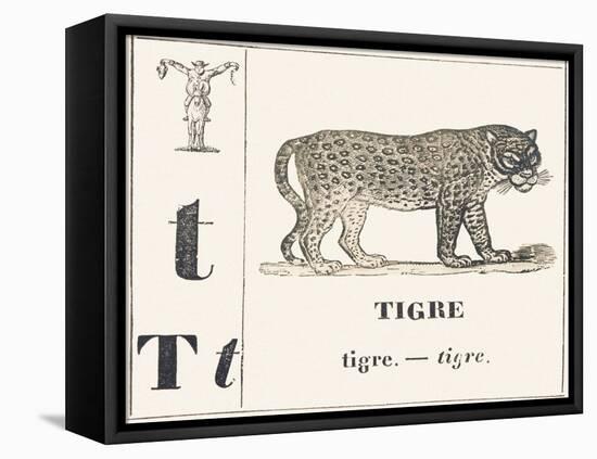 T for Tiger, 1850 (Engraving)-Louis Simon (1810-1870) Lassalle-Framed Premier Image Canvas