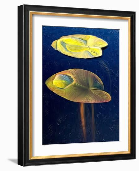 T_Lily, 2021, (digital)-Scott J. Davis-Framed Giclee Print