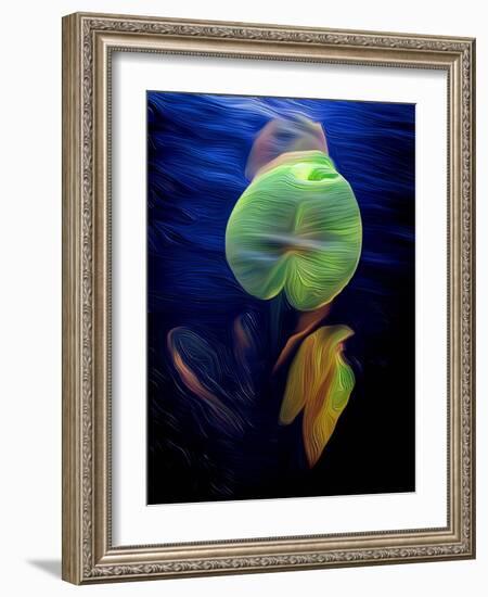 T_Lily2, 2021, (digital)-Scott J. Davis-Framed Giclee Print