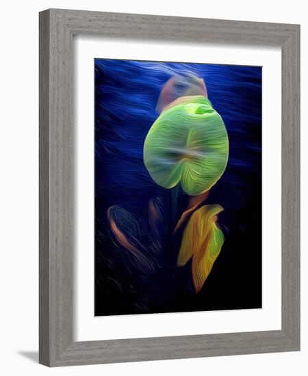 T_Lily2, 2021, (digital)-Scott J. Davis-Framed Giclee Print