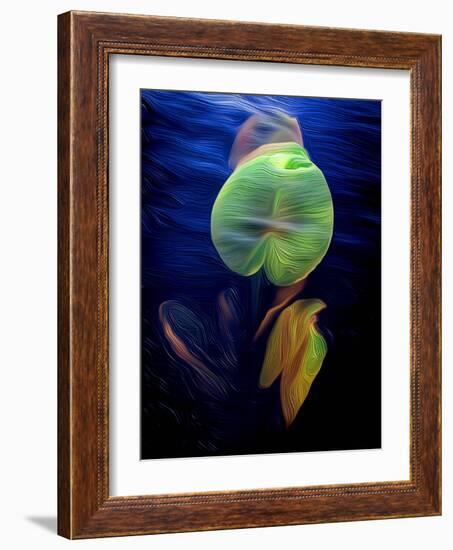 T_Lily2, 2021, (digital)-Scott J. Davis-Framed Giclee Print